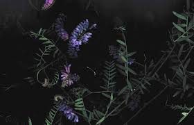 Maybe you would like to learn more about one of these? Dark Floral Desktop Wallpapers 4k Hd Dark Floral Desktop Backgrounds On Wallpaperbat