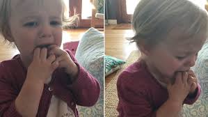 Melbourne Cup 2016: Toddler throws a tantrum after her horse doesn't win
