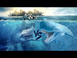 Whales may all be part of the same order, but shapes and sizes vary tremendously depending on species. Megalodon Vs Blue Whale Videos