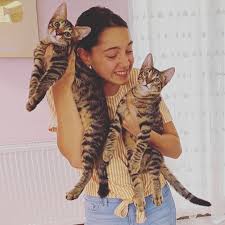 5 748 Begenme 494 Yorum Instagram Da Melike Elif Cetintas Melikeelifofficial Bazen Bir Kedi Dersin Belki Yada Bazen Bir H 2020 Unluler Hayvan Instagram