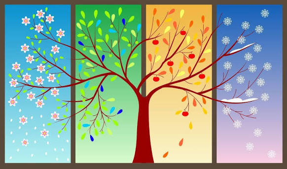 Did you know there are 6 seasons in the Upper Valley
