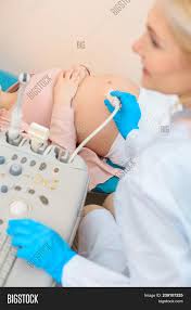 Our online flashcards can help you study anytime, anywhere! Mature Obstetrician Gynecologist Making Ultrasound Examination For Pregnant Woman Image Stock Photo 239107225