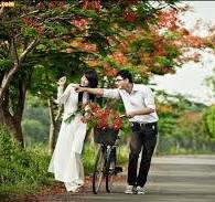 Nhìn phượng hồng nở hoa, bâng khuâng nhớ mối tình học trò ...