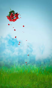 800 Cb Background Full Hd Blurred Background Photography Love Background Images Best Background Images