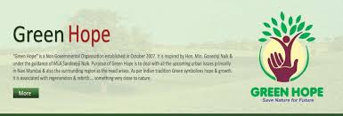 Image result for Tree plantation