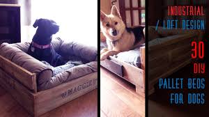 To make dog beds out of pallets. 30 Diy Pallet Beds For Dogs Youtube