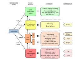 Dissociation Blog System Speak