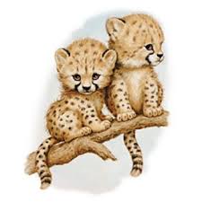 Learn how to draw cheetah for kids easy and step by step. Pin On T Shirt Heat Press Transfer Designs