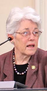 Wetlands license for Four Seasons approved