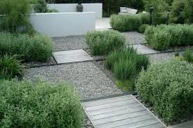 New Zealand Native Coronial Hedge Rows Create A Series Of Of Smaller Courtyards In A Coastal Garden Nea Low Maintenance Garden Coastal Gardens Easy Landscaping