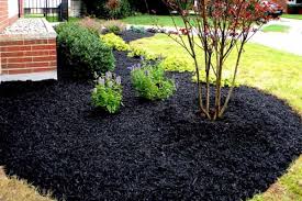 What's the best mulch for your container garden and indoor plants? Mulching Chief Excavation And Landscaping