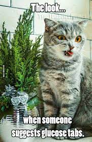 Pin By Diabetic Store Online On Type 1 Diabetes Autoimmune Diabetes Funny Animal Pictures Funny Animals Cats