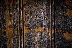 How To Clean Wood Furniture After A Fire Ehow Cleaning Wood Furniture Cleaning Wood How To Clean Furniture