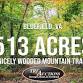 Land Auction- 513 Acres in 4 Tracts event image