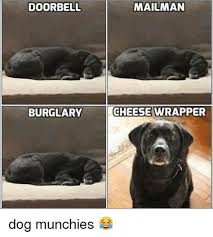 Dog Cheese Wrapper Memes