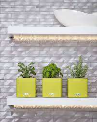 Classics shiraleah simplehuman sorbus spectrum diversified spicy shelf spritz staub superior trading co. 29 Micro Green Shelves Ideas Green Shelves Microgreens Herbs Indoors
