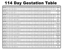 37 Veracious Cattle Gestation Chart Australia