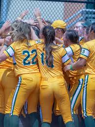 Vermont H.S. softball: Coaches' all-league teams for 2023 season