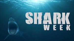 Carole baskin was given the opportunity to appear on abc's dancing with the stars after the success of the documentary earlier this year. Shark Week In A Weekend Full Schedule For The Toothiest Binge Watch Ever