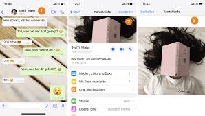 Habe allerdings ein langweiliges aussehen und sehe auf bildern hat jemand ideen wie ich auf fotos lebendiger aussehe? Whatsapp Profilbilder Runterladen 5 Tipps Copytrans Blog