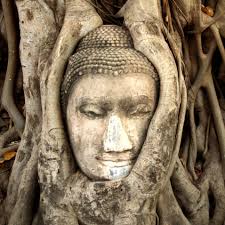 The Sonya Morton Firth Show