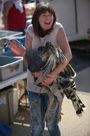 Copyright 2019 © 123movies all rights reserved. Again Live Turkeys Tossed From Plane At Arkansas Festival