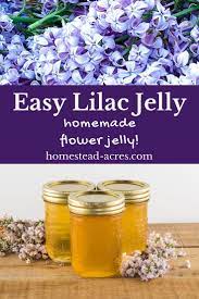 Lilac Jelly How To Make Lilac Flower Jelly Recipe Canning Recipes Jelly Recipes Jam And Jelly