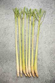Lemongrass is an herb with a lemony scent. How To Cook With Lemongrass Healthy Nibbles By Lisa Lin