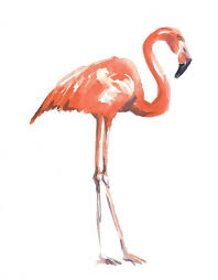 Pin By Karin Wolf On Words And Art Flamingo Painting Flamingo Flamingo Art