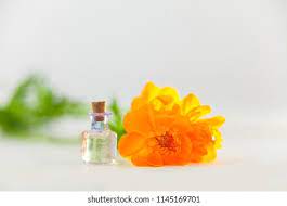 Caspia Flower Essence Best Flower Wallpaper