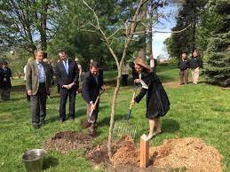 145 Years Later, Arbor Day Celebrates Nebraska Roots | Nebraska Public Media
