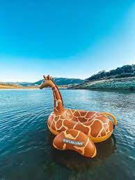We did not find results for: Swimline Giant Giraffe Pool Float Buy Online At Best Price In Uae Amazon Ae