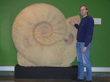 The massive fossilized shell of Parapuzosia, do AI tạo