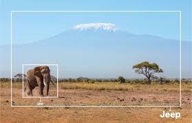 African elephants have fuller, more rounded heads, and the top of their head is a single dome shape. Jeep Autostar Leopard Giraffe Elephant Print Ads Via Tbwa Nicaragua Adstasher