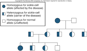 Genetic Disorders