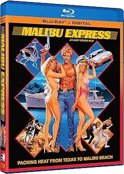 Amazon.com: Malibu Express : Darby Hinton, Sybil Danning, Art Metrano, Andy  Sidaris: Movies & TV