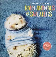 Amazon Com Baby Animals In Sweaters 2019 Wall Calendar 9781452168500 Chronicle Books Books