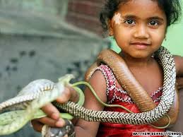 Image result for snake charmers in bangladesh