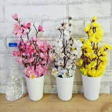 (dewasa agregatum) ready stock anggrek spesi agregatum dan 1 pot isi 5 bulb loooh. Promo Bunga Plastik Artificial Palsu Dekorasi Rumah Sakura Imlek Merah Muda Murah Shopee Indonesia