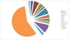 Immigrants In Your City Quantity And Zones By Nationality