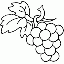 Coloriage D Une Grappe De Raisin Coloriages D Automne A Imprimer Les Meilleurs Coloriages Sur Www Coloriage Jeu Coloriage Arbre Coloriage Coloriage Automne