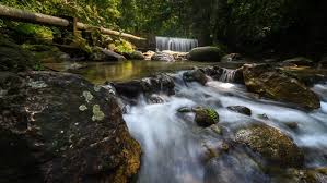 Beautiful Shallow Rapid River In Selangor Malaysia Time Lapse Zoom In Motion Timelapse Rapid River Stock Video Stock Footage
