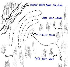 Blood Trailing Guide And Tips By Bowsite Com