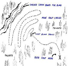 Blood Trailing Guide And Tips By Bowsite Com