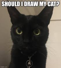 If you want to draw something, but you are out of good ideas for subjects, this fun online quiz is just the ticket! Should I Draw My Cat Imgflip