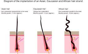 For instance, the africans and australian aborigins have dark skin to protect them against sun burns and intense sunlight, and their curly hairs are efficient heat exchanger while offering some shade from the burning sunlight. Ethnicity And Hair Structure
