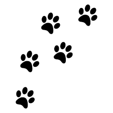 Empreinte Patte Lion Recherche Google Sparkle Wallpaper Dog Paw Print Paw Print Design