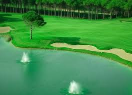 Sueno Golf Club Sueno Pines Course Golf Course Golf Courses Golf Golf Clubs