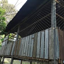 Pilihan kandang kambing pastinya ingin kandang kambing kos murah, kan. Pak Lah Farm Postingan Facebook