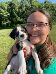 ATTENTION! Rottweiler running down battle creek hwy a little bit up from  the old school house running towards town. Was not interested in human  interaction as it seemed scared. Did not want